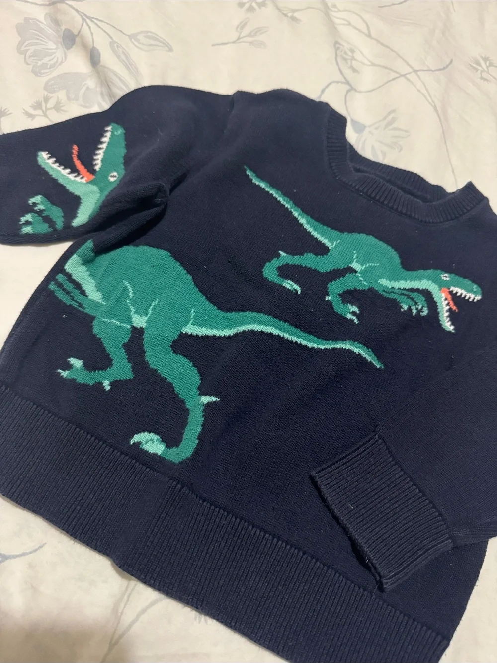 ⭐️Oshkosh Bgosh Baby Dinosaur Sweatshirt (Size: 12M)